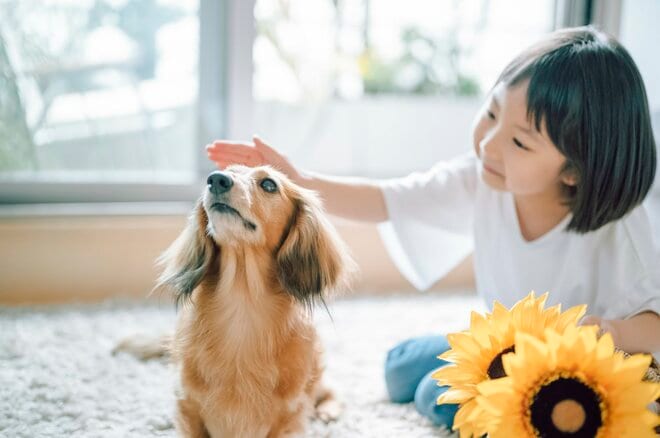 「かわいい子犬を飼いたい」8歳娘の気持ちを踏みにじった悪質業者の汚い手口