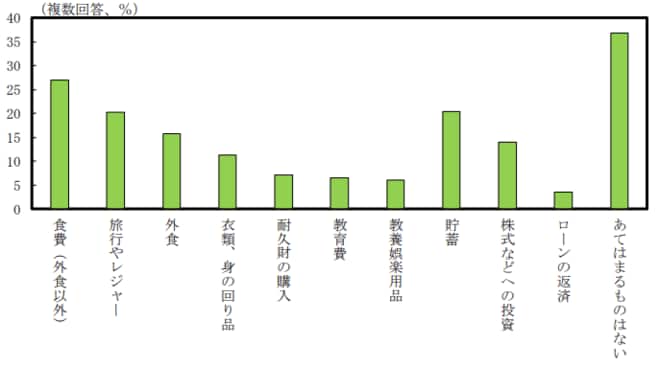 今後支出額を増やしたい分野(平均)を表した図表