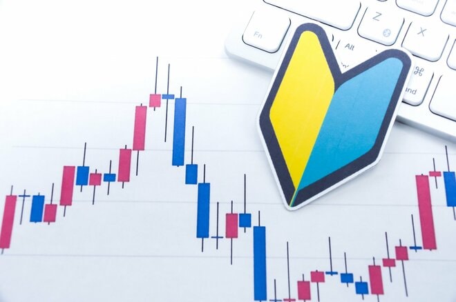 「テーマ投資はしない」「2025年の運用方針は何も考えていない」投資初心者、では投資上級者はどう考える?