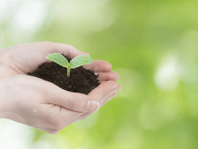 投資デビューは新NISAで! 税金ゼロで初心者にぴったりの神制度