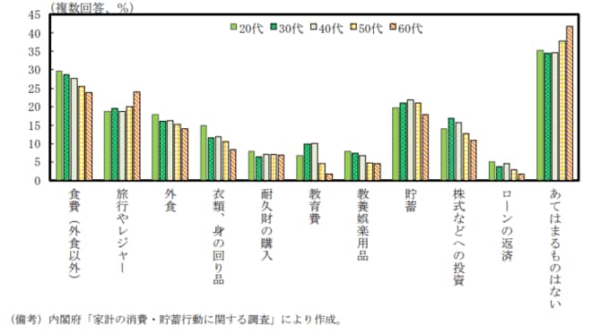 今後支出額を増やしたい分野(年代別)を表した図表