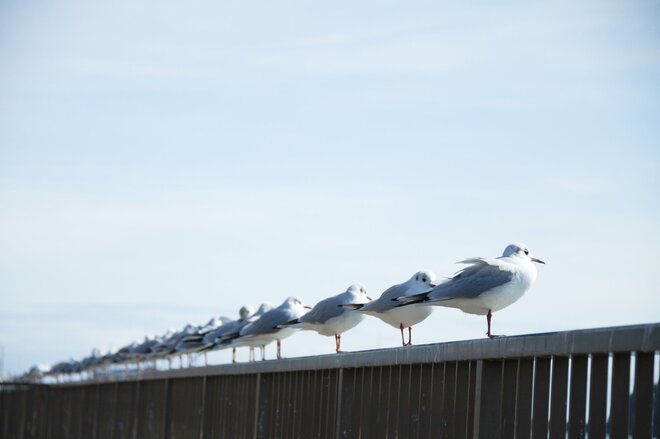 「日米同時株安」で狼狽した人にこそ伝えたい“みんなと同じ”の落とし穴 ー「自分で考え、納得できる投資」を見つけるには