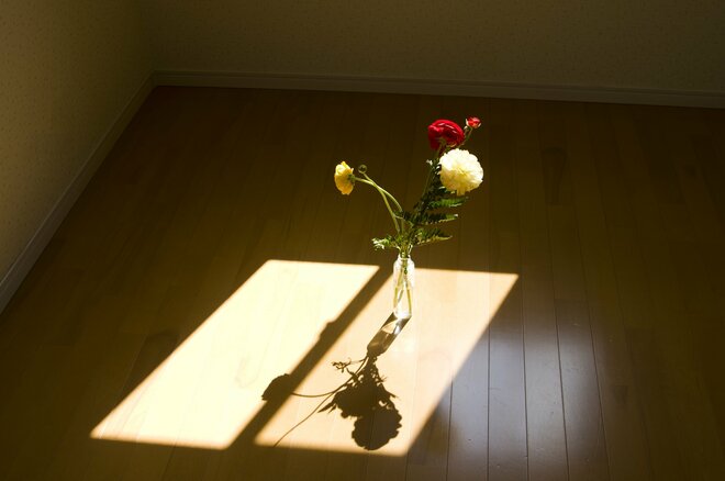 「母は静かに亡くなっただけなのに」事故物件扱いで大家から100万円の請求…高齢者の一人暮らしで起きた悲劇