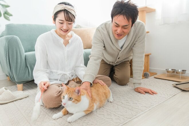 「お墓参りがてら、また来るね」亡き愛猫がもたらした父と娘の「雪解け」