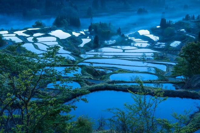 【甲信越の景気の先行きは？】「デフレより好ましい」「来期は必ず良くなる」ウォッチャーたちの決意とは？「2025年6月公表最新調査」