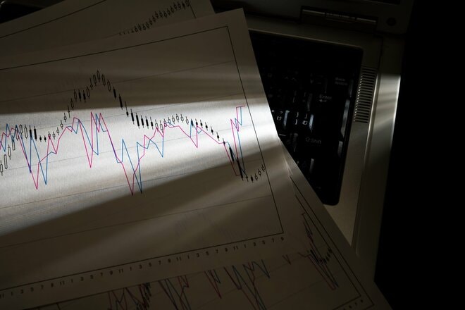 評価機関による運用力評価 : 運用実績とポートフォリオの分析