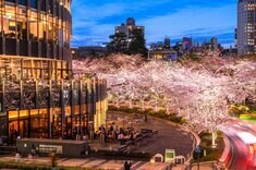 Finasee マネーの人間ドラマ編集班