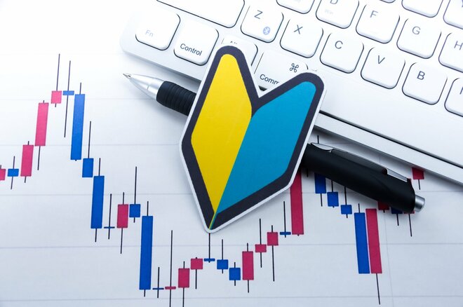 新NISAの成長投資枠で株式(個別株式)を購入しようか迷ってます。メリットはなんですか?デメリットはないんでしょうか?