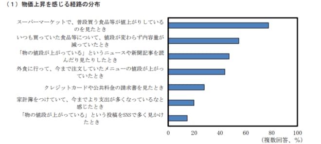 物価上昇を感じる経路を表した図表