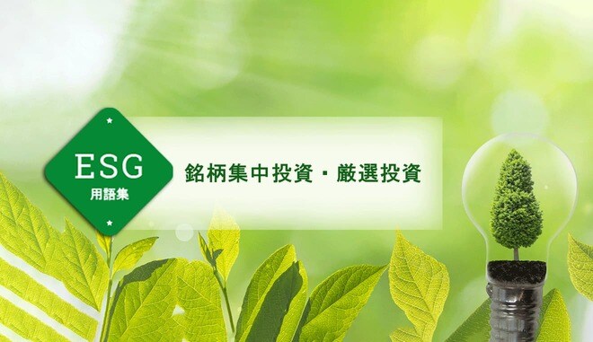 銘柄集中投資・厳選投資