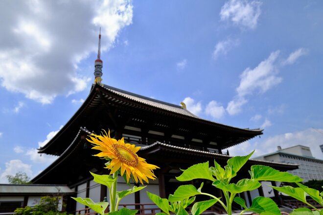 賛否渦巻く安倍元首相の功績…株価2倍超に上昇、景気回復で資産増加?