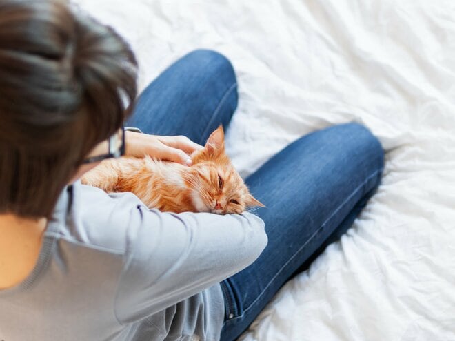 4匹の子猫を泣く泣く譲渡… 50代「独女」が里親詐欺で怒りの提訴