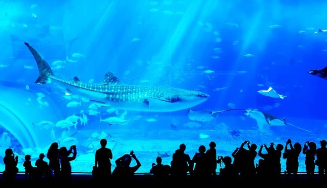 世界最大の年金運用機関「GPIF」 運用方針は個人投資家にも真似できる？