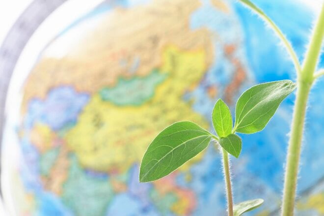 残高4兆円「世界のベスト」と 急成長「WCM」、どちらを選ぶべき？ たどりついた「驚きの最適解」とは？