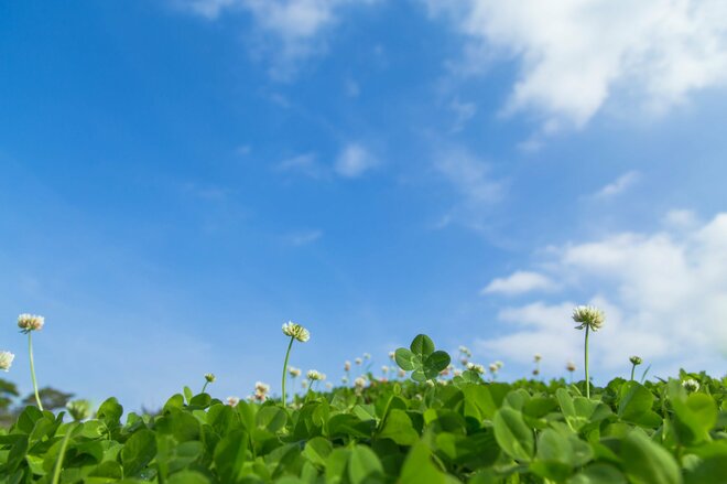 「4000万円貯めるのと同じ幸せ」を得るためにできるたった1つの大切なこと