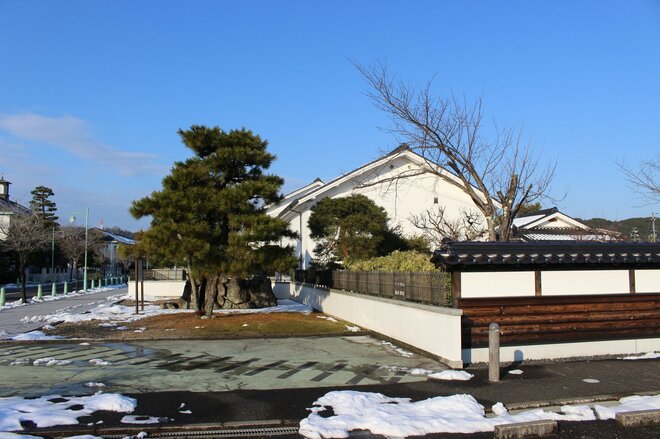 グンゼ【3002】株価が急騰した理由とは? 配当利回り5.9%、「100%超」還元が材料視、利益以上を分配する狙いとは