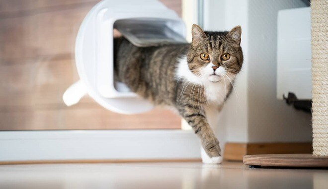 1年でもう“出口”!? つみたてNISAはいつまで持ち続けるべきなのか