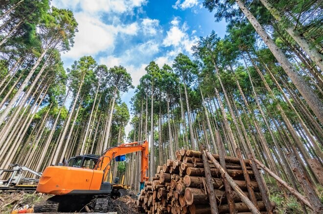 住友林業が住宅ローン金利の上昇で苦戦　今期に増収増益を見込む根拠とは