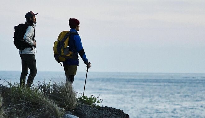 駆け出し経営者の資産総額を６億円に育てたFPのアドバイスとは