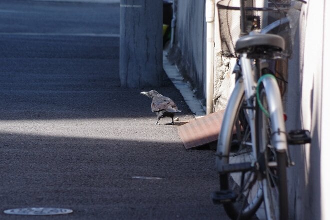“老後住宅ローン破産”で知人夫妻が突然失踪…「死ぬまで働く」恐怖