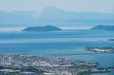 マネー・トリビア