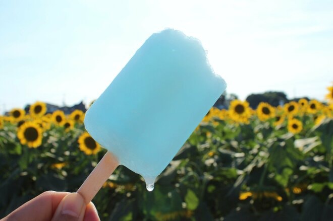 「最後の食事」に選ばれる日本の国民的人気アイス、大ヒットした理由