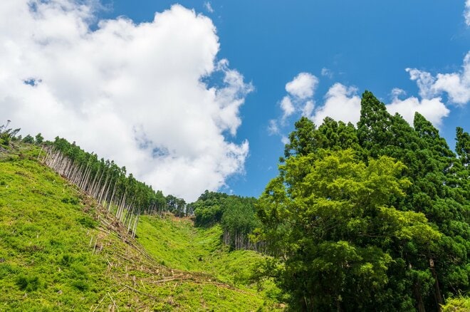 父が遺した“負動産”に泣かされた兄弟…相続放棄したはずの山林のせいで賠償金を払うはめになった悲劇