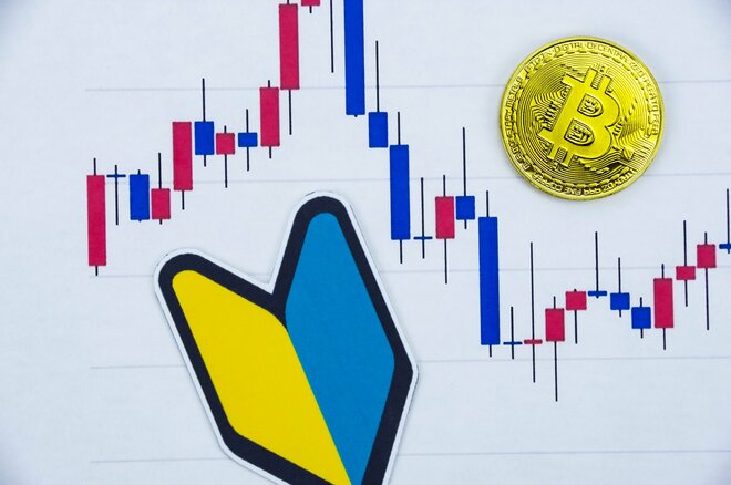 脱投資初心者を目指す人が陥りがちな「落とし穴」。積立は必ず報われる？