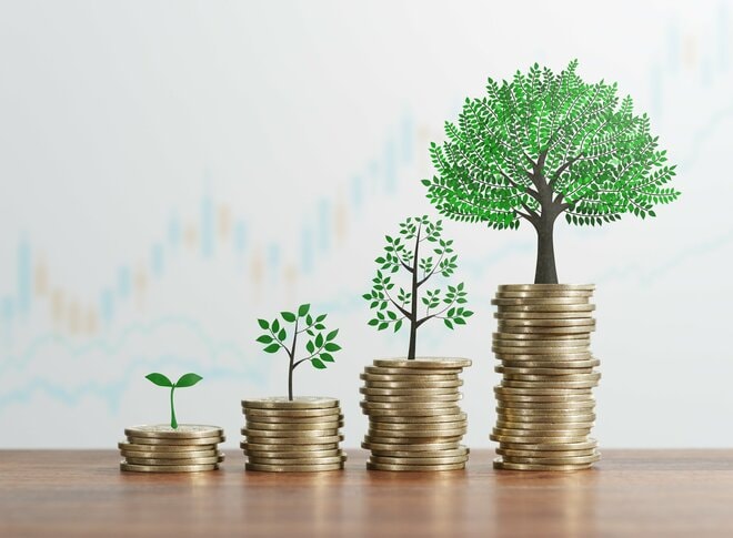 iDeCoとNISAのベストな使い分けは？ 積み立てすぎにも注意