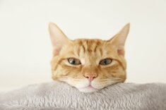 Finasee マネーの人間ドラマ 読者体験談セレクト班