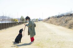 Finasee マネーの人間ドラマ編集班