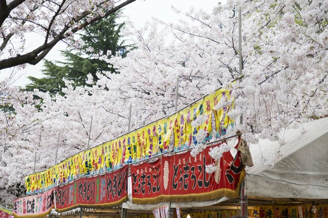 「お兄ちゃん助かったよ！」外国人の相手に迷子…次々起きる“お祭り騒ぎ”を経て20代フリーターが見つけた「働く意味」