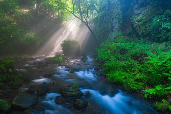 運用会社に聞く―三井住友DSアセットマネジメント
