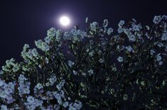 Finasee マネーの人間ドラマ編集班