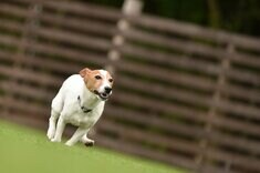 Finasee マネーの人間ドラマ編集班