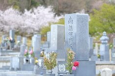森田 聡子