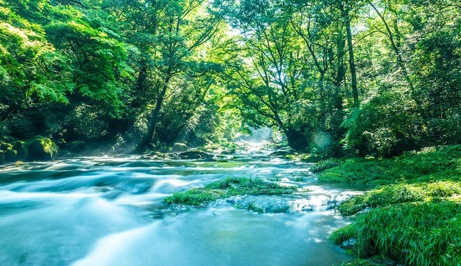 お金の面での幸福度　日本のスコアはおおむね「良好」!?