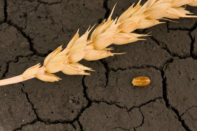 丸紅と米ガビロンの10年を振り返る ガビロン離脱の影響は？