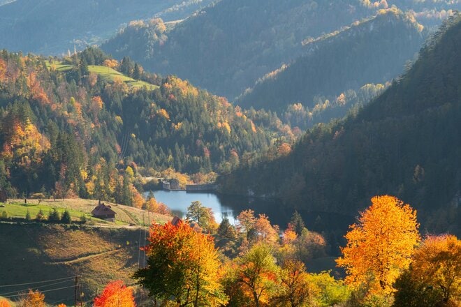 運用会社に聞く―ピクテ