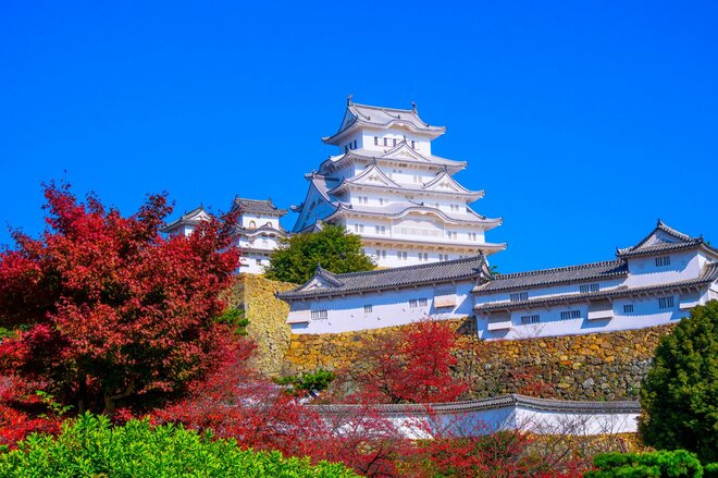大和工業【5444】苦境の鉄鋼セクターで株価堅調、年初来で3割上昇 トランプ関税が「追い風」となる理由とは