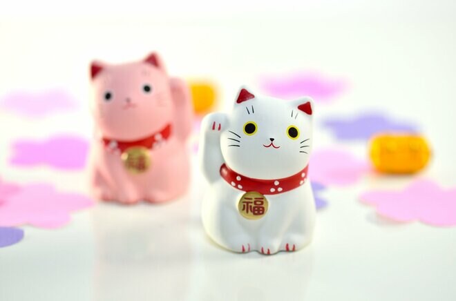 同じパッシブファンドでも信託報酬に4倍の差!? 解決のキーマンは賢いiDeCo加入者